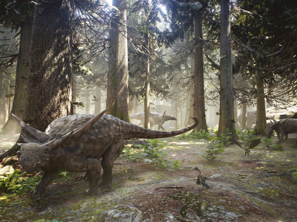 Sauropelta-dinosaurus